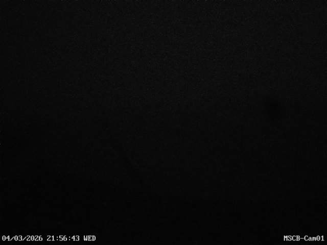 MSCB Cam01 01